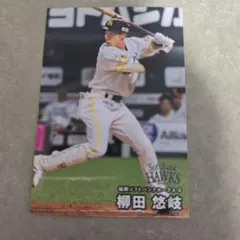 福岡ソフトバンクホークス 柳田悠岐 カード