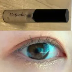 Item thumbnail for item d1bc824c-88e9-4ff8-83f5-3783f9daf31d