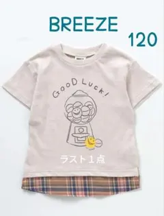 ラスト１点★新品未使用【ＢＲＥＥＺＥ】裾柄切替Tシャツ　オフホワイト　120