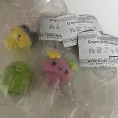 たまごっち　カプセルフロッキーズ　ふらわっち　まめっち　くちぱっち