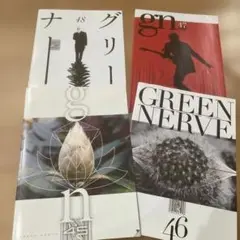 【希少】平沢進 会報 Vol.3 GREEN NERVE　グリーンナーブ 平沢進ファンクラブ会報 GREEN NERVE 入荷！ : ディスクユニオン