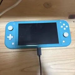 Switch Lite 本体のみ