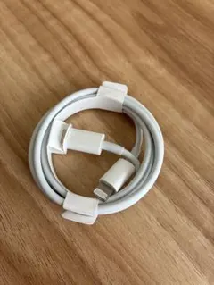 Apple Lightningケーブル ホワイト