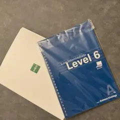 Item thumbnail for item 800e8e82-d043-4a95-ac78-dc5ab1fd3a66