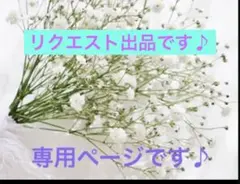 RVT様 リクエスト 2点 まとめ商品