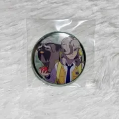 ポケモン スカーレット/バイオレット 缶バッジコレクション パルデア編