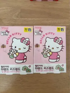 한국 다이소 산리오 헬로 키티 유창고 2 점 세트