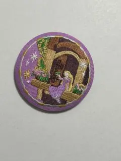 ディズニー 刺繍缶バッジ ラプンツェル①