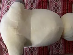 2025年最新】タヌキとキツネ すやすやフレンドの人気アイテム - メルカリ