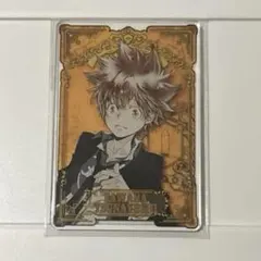 家庭教師ヒットマンREBORN! ステータスカード 沢田綱吉