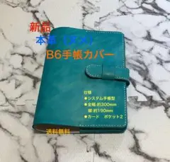 Item thumbnail for item a197505b-d996-4d20-8c67-cb1c7a6d8741