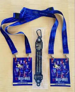 FC東京 ラウンジアクセスパス ☆ビッグフレームス会員限定タオルストラップセット