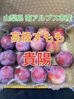 山梨県産 すもも 貴陽 大 特大サイズ ご自宅用 贈答品のサムネイル