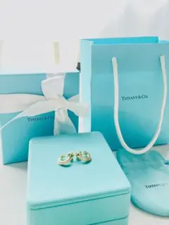 2026年最新】ティファニー ターコイズ ピアスの人気アイテム - メルカリ