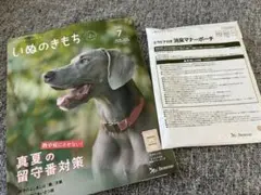 いぬのきもち 2026年7月号 カラビナ付き消臭マナーポーチ付のサムネイル