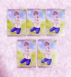 プリキュア ウエハース N悟＆大福 わんだふるぷりきゅあ 5枚