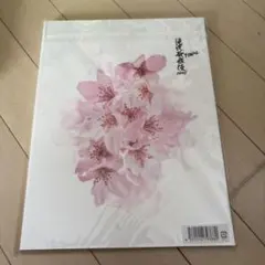 SnowMan 滝沢歌舞伎　FINAL 2020 パンフレット