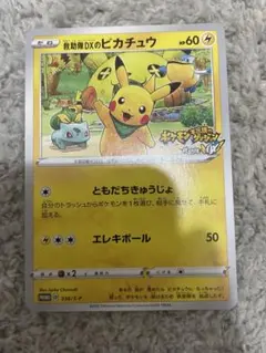ポケモンカード】超貴重！2020年 救助隊DXのピカチュウ プロモ 神
