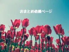 み様 リクエスト 2点 まとめ商品