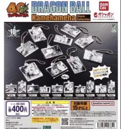 ドラゴンボール かめはめ波 チャームコレクション 全10種　コンプリート
