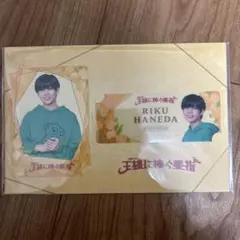 なにわ男子 長尾謙杜『王様に捧ぐ薬指』羽田陸 ドラマコレクションカードセット