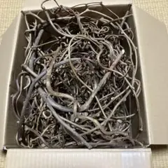 2026年最新】キウイのつるの人気アイテム - メルカリ