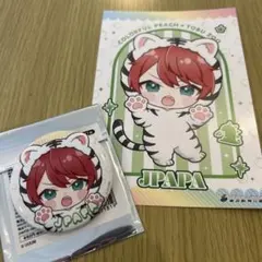 カラフルピーチ　東武動物公園　イルミネーション　　　後半グッツ　じゃぱぱ　2点