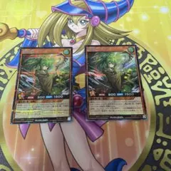 2026年最新】風霊使いウィン スリーブの人気アイテム - メルカリ
