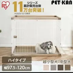 Item thumbnail for item dcffdfed-b6b9-427e-b138-f20f9607f139