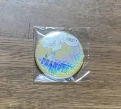 スヌーピー ピーナッツカフェ　大阪限定　シークレット 缶バッジ　ペパーミント