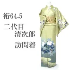 訪問着 着物 袷 手描き友禅 丹後ちりめん 裄67.5 M 中古 sn1424