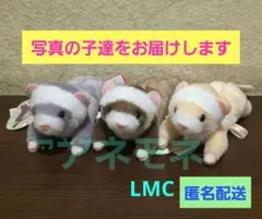 2026年最新】くったりぬいぐるみの人気アイテム - メルカリ