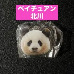 ベイチュアン　北川　ガチャ　アクリルキーホルダー　ウエノデパンダ