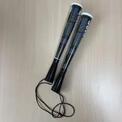 10-feet ミュージシャン