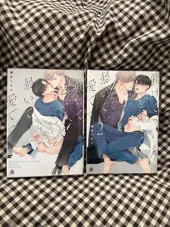 BL漫画　躾けてとかして暴いて愛でて　1、2巻セット