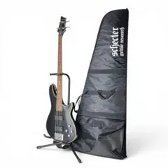 2026年最新】schecter DAMIENの人気アイテム - メルカリ