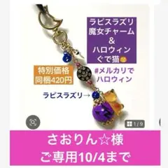 さおりん☆様ご専用おまとめページ10/4まで