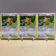 【シングル販売】ヒメグマ 英語版 3枚セット