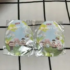 POPMART ポップマート ラブブ 特典 ノベルティ エッグカード