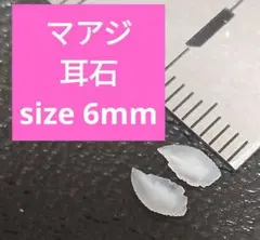 マアジ 耳石 お守りパワーストーン天然石宝石開運受験生物学 F87