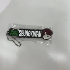 SEVENTEEN 一番くじ スングァン ラバーチャーム