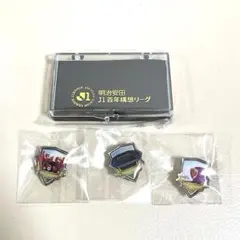 ☆レア☆ 京都サンガF.C. ピンバッジ コンプリートセット ケース付き