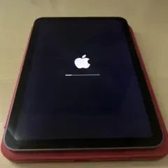 iPad mini スペースグレー 本体 (箱無し)
