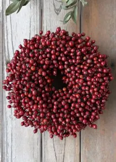 週末限定SALE❣️ シンプル♪ 野ばらの実のリース　ドライフラワーリース