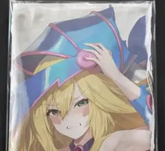 Item thumbnail for item 3912695a-2a24-475a-af4f-fdf22abc0965