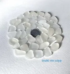 シーグラス　ホワイト　NOV-76