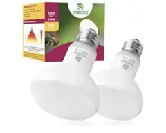 Item thumbnail for item 4546fa17-cba1-4230-b879-4f50fb001dcb