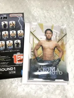 RIZIN 一番くじ　　A賞 秋元強真