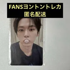 FANS ヨントントレカ リノ