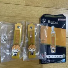 ハイキュー一番くじ　H賞ぽこっとちゃーむ「日向翔陽」2個